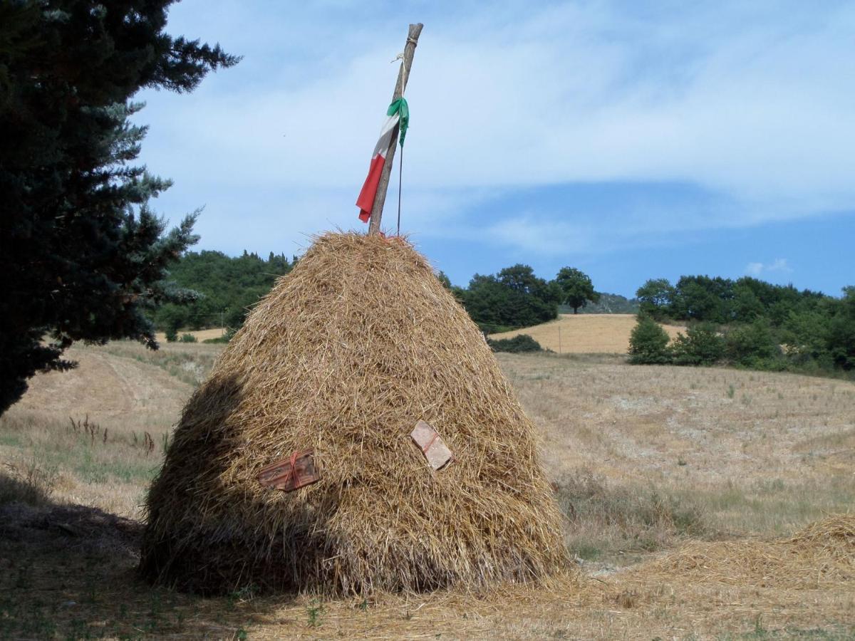B&B Casa Cuccagna Fratte Rosa Eksteriør billede