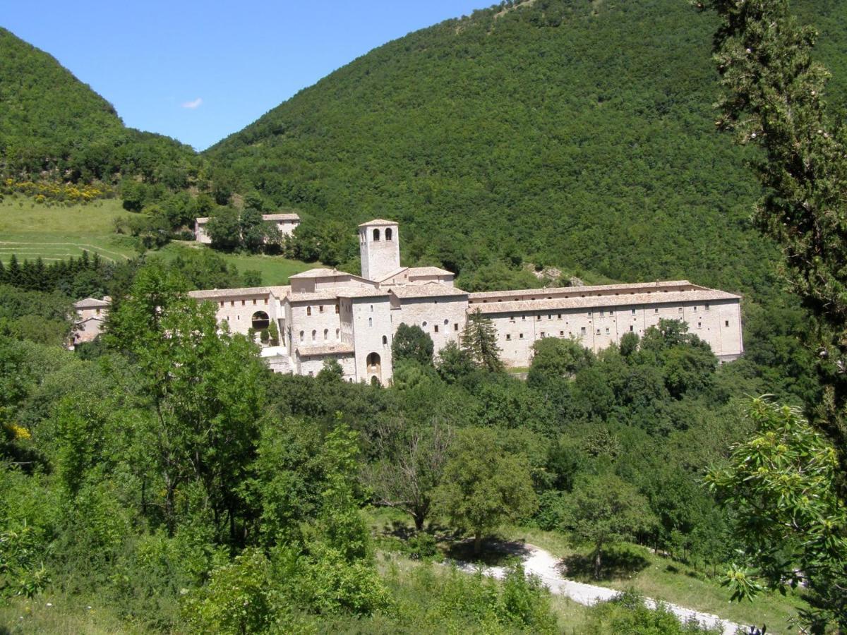 B&B Casa Cuccagna Fratte Rosa Eksteriør billede